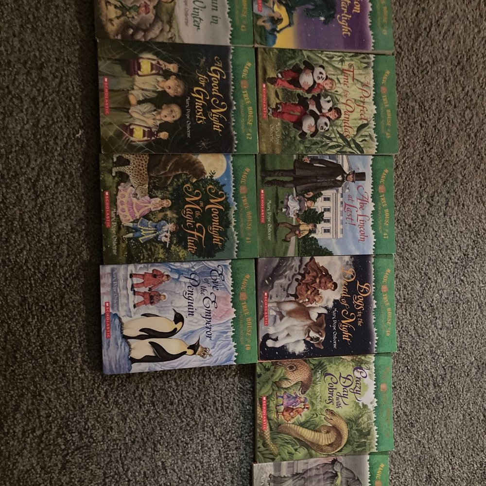 Magic Tree House Books - Picture 4 of 8